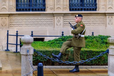 Lüksemburg Grandük Sarayı 'ndaki Steyr Aug saldırı tüfeğiyle görevli bir muhafız.