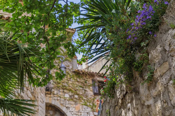 法国南部地中海沿岸风景如画的中世纪城市伊兹村街道上开着鲜花的古老建筑的石头外观 — 图库照片