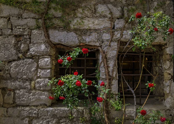 地中海沿いのフランス南部の絵のような中世都市 エズ村の通りに花を持つ古い建物の石造りの外観 — ストック写真