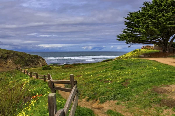 Тропа Ведущая Тихому Океану Северной Калифорнии Зеленым Холмом Покрытым Весенними — стоковое фото