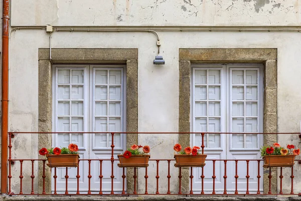Facade Windows Traditional Portuguese House Potted Red Flowers Balcony Metal — Stock Photo, Image