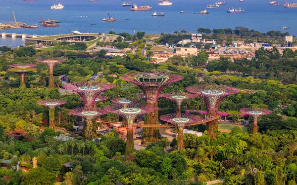 Luchtfoto van het Supertree Grove in Gardens by the Bay, populaire toeristische attractie in Singapore — Stockfoto