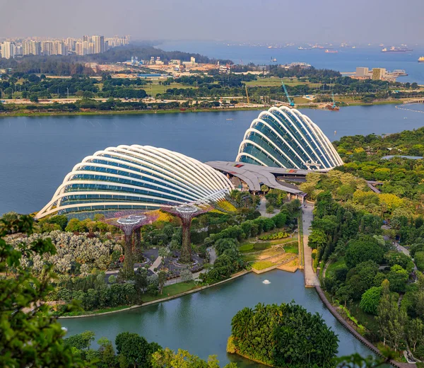 Uitzicht vanuit de lucht op Cloud Forest, de Flower Dome en het Supertree Grove in Gardens by the Bay, Singapore overdag — Stockfoto