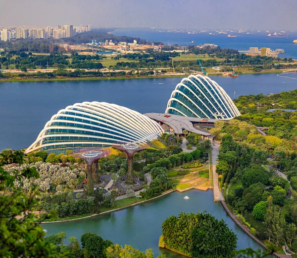 Uitzicht Vanuit Lucht Cloud Forest Flower Dome Het Supertree Grove — Stockfoto