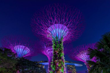 Garden Rhapsody, Singapur 'daki Supertree Grove Gardens' da renkli ışık gösterisi, popüler turistik eğlence merkezi.