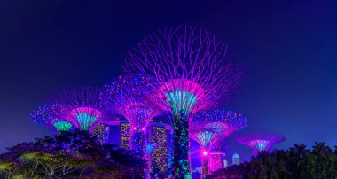 Garden Rhapsody, Singapur 'daki Supertree Grove Gardens' da renkli ışık gösterisi, popüler turistik eğlence merkezi.