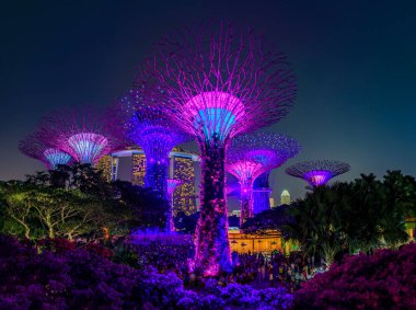 Garden Rhapsody, Singapur 'daki Supertree Grove Gardens' da renkli ışık gösterisi, popüler turistik eğlence merkezi.