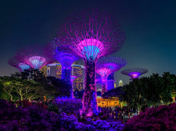 Garden Rhapsody, kleurrijke lichtshow in de Supertree Grove Gardens by the Bay in Singapore, populaire toeristische attractie — Stockfoto