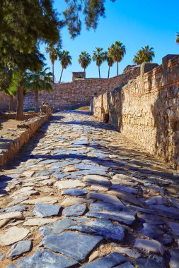 Merida Alcazaba in Spain Badajoz Extremadura