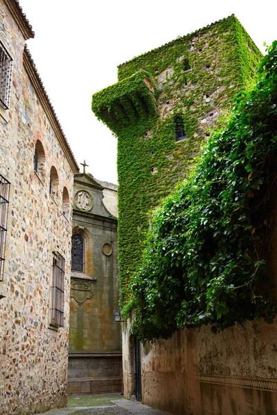 Caceres Torre del Sande kule İspanya — Stok fotoğraf