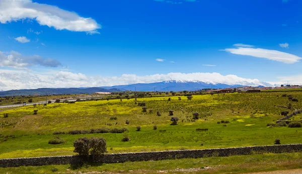 Guijuelo salamanca Wahrzeichen von jamon iberico — Stockfoto