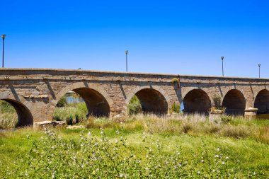 Merida in Spain entrance roman bridge clipart