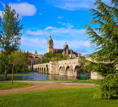 Salamanca manzarası ve Roma köprüsü Tormes '