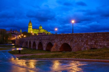 Salamanca günbatımı Roma köprüsü Tormes nehir