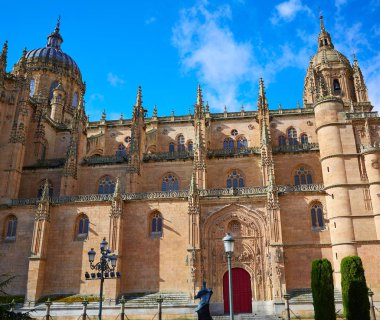 İspanya Salamanca Cathedral cephe