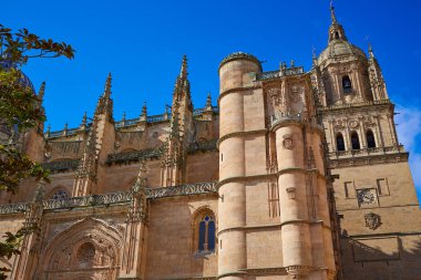 İspanya Salamanca Cathedral cephe