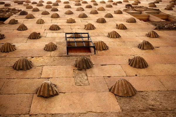 Casa de las Conchas shell house Salamanca — Fotografia de Stock