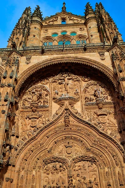 Βασιλική καθεδρικό ναό στη Σαλαμάνκα της Ισπανίας — Φωτογραφία Αρχείου