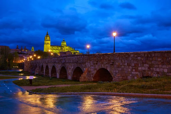 Salamanca günbatımı Roma köprüsü Tormes nehir