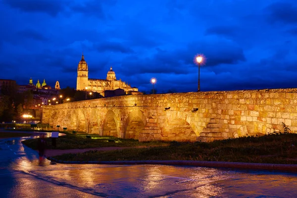 Salamanca günbatımı Roma köprüsü Tormes nehir