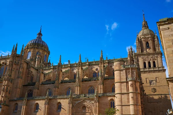Fassade der Kathedrale von Salamanca in Spanien — Stockfoto