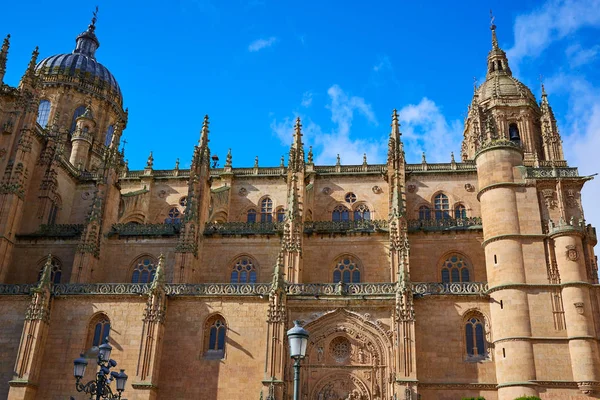 Gevel van de kathedraal van Salamanca in Spanje — Stockfoto