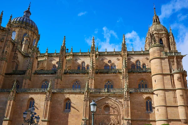 Salamanca katedral fasad i Spanien — Stockfoto