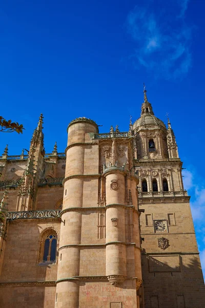 Gevel van de kathedraal van Salamanca in Spanje — Stockfoto