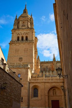 İspanya Salamanca Cathedral cephe