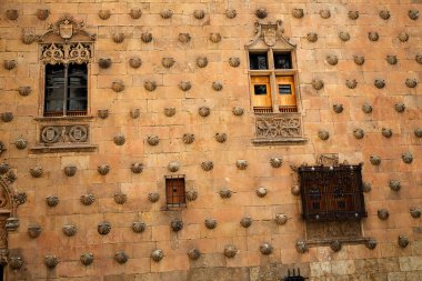 Casa de las Conchas shell house Salamanca