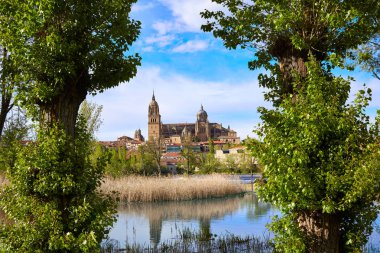 Salamanca manzarası Tormes nehir İspanya ile