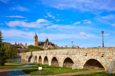 Salamanca manzarası ve Roma köprüsü Tormes '