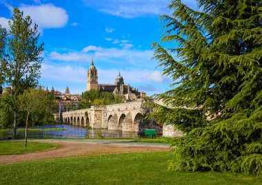 Salamanca skyline and roman bridge on Tormes clipart