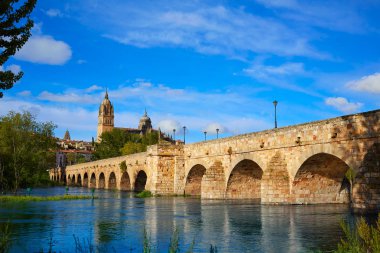 Salamanca manzarası ve Roma köprüsü Tormes '