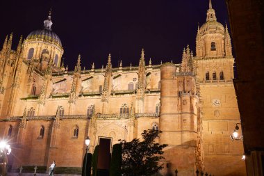 Salamanca Cathedral in Spain Via de la Plata clipart