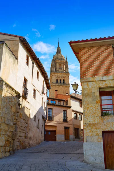 Salamanca katedral i Spanien Via de la Plata — Stockfoto