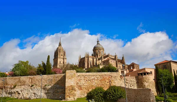 Katedra w Salamance elewacji w Hiszpanii — Zdjęcie stockowe
