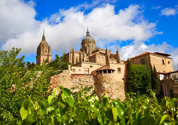 İspanya Salamanca Cathedral cephe — Stok fotoğraf