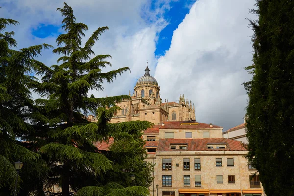 Catedral de Salamanca em Espanha — Fotografia de Stock