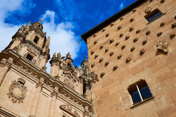 Salamanca Clerecia kyrkan och Casa Conchas — Stockfoto