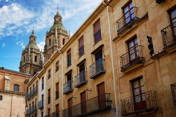 Universitet i Salamanca och Clerecia kyrkan Spanien — Stockfoto