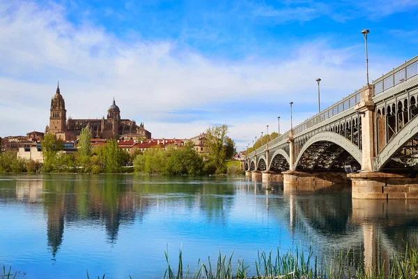 Skyline Salamanca w Enrique Estevan bridge — Zdjęcie stockowe