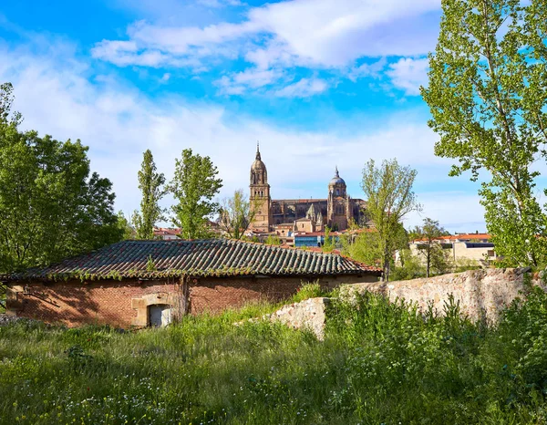 Salamanca manzarası Tormes nehir İspanya ile — Stok fotoğraf