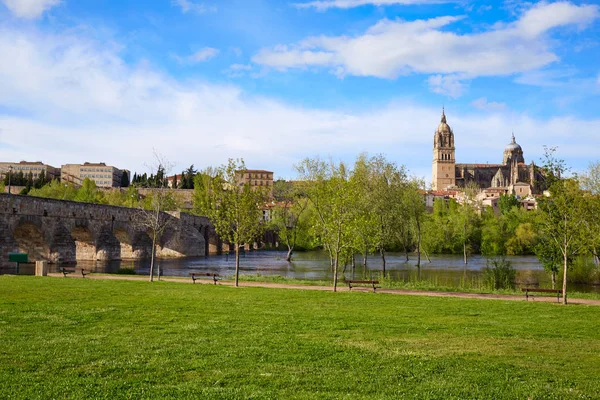 Salamanca skyline och romerska bron på Tormes — Stockfoto
