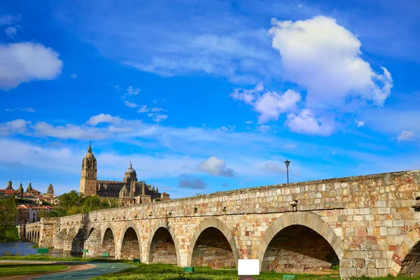 Die Skyline von Salamanca und die römische Brücke auf Tormes — Stockfoto