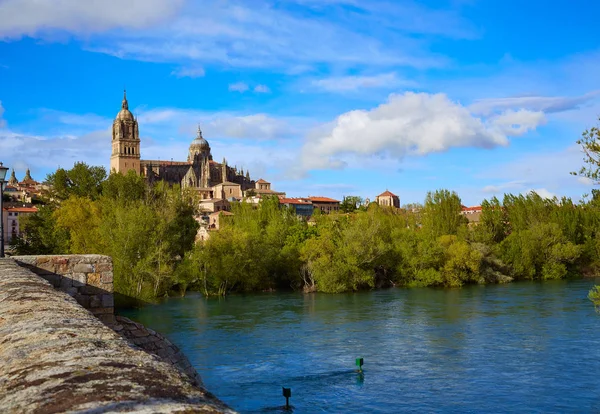 Salamanca Panorama a římský most na Tormes — Stock fotografie