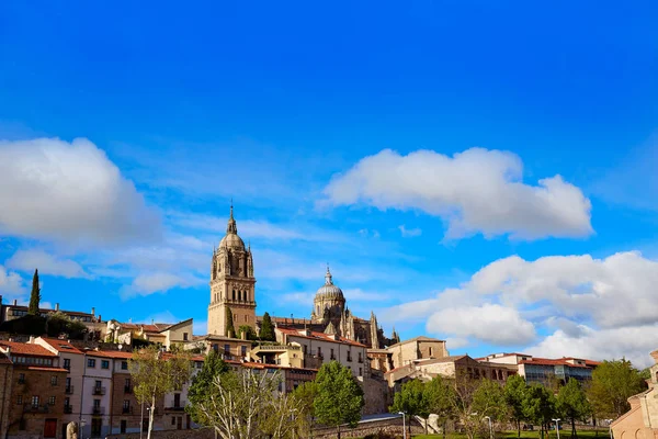 Salamanca skyline e Catedral Espanha — Fotografia de Stock