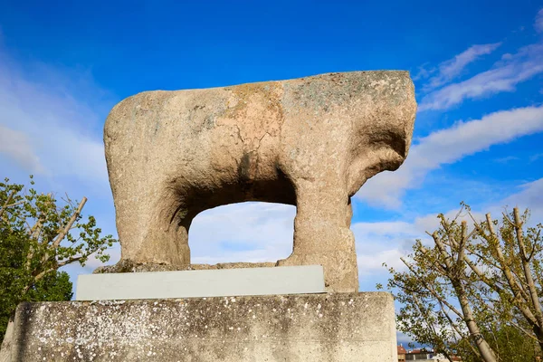 Salamanca Verraco Ibérico escultura Espanha — Fotografia de Stock