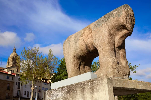 Salamanca Iberische Verraco sculpture Spanje — Stockfoto