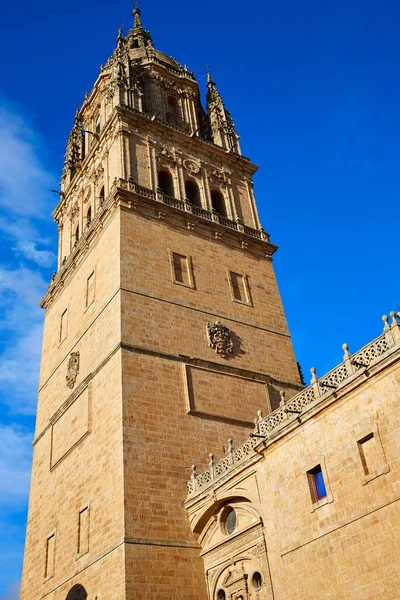 在西班牙萨拉曼卡大教堂 — 图库照片